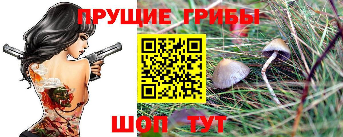 даркнет сайт  Галлюциногенные грибы Cubensis  Вход с VPN  Родники 