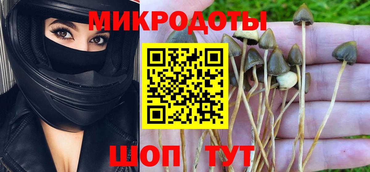 Галлюциногенные грибы мицелий Родники